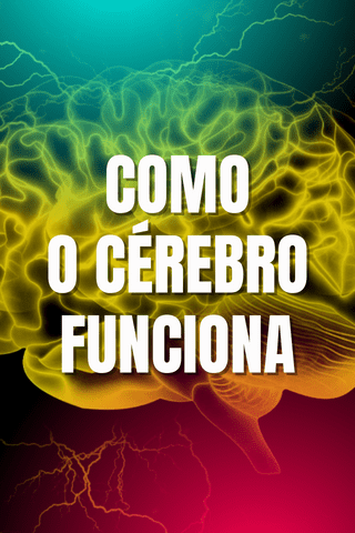 Treinamento - Como o cérrebro funciona